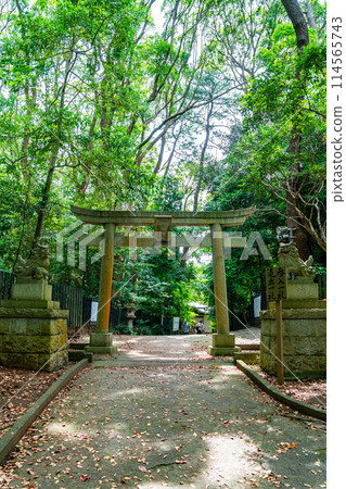 [神奈川縣] 被豐富的大自然包圍的平塚八幡宮 114565743