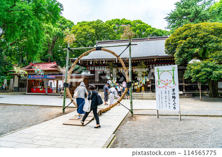 [Kanagawa Prefecture] Hiratsuka Hachiman Shrine's Chinowa-kuguri Ceremony 114565775