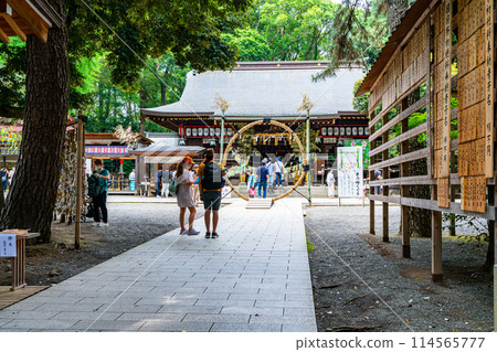[Kanagawa Prefecture] Hiratsuka Hachiman Shrine's Chinowa-kuguri Ceremony 114565777