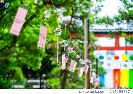 [Kanagawa Prefecture] Many wind chimes lined up at Hiratsuka Hachiman Shrine 114565787