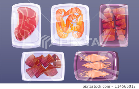 Frozen meat product in plastic food wrap vector 114566012