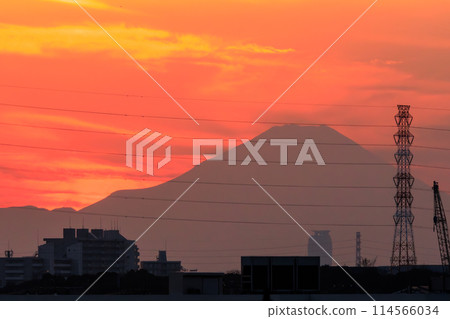 廣闊的蘆葦田和雄偉的富士山。位於日本埼玉縣。拍攝於 2023 年冬季。 廣闊的蘆葦田和雄偉的富士山。位於日本埼玉縣。拍攝於 2023 年冬季。 114566034