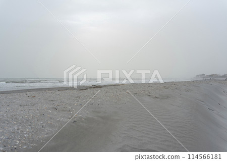 Nice beach with a gray sky and a many seashells brought by the storm Nice beach with a gray sky and a many seashells brought by the storm 114566181