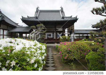 Hounji Temple (Kaisando) [Mihara Ward, Sakai City, Osaka Prefecture] 114566306
