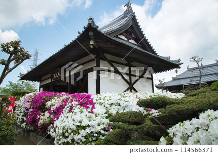 Hounji Temple (Tennoden) [Mihara Ward, Sakai City, Osaka Prefecture] 114566371