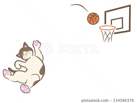 Mackerel and white cat playing basketball Mackerel and white cat playing basketball 114566378