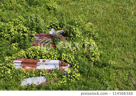 Abandoned tinplate Abandoned tinplate 114566388