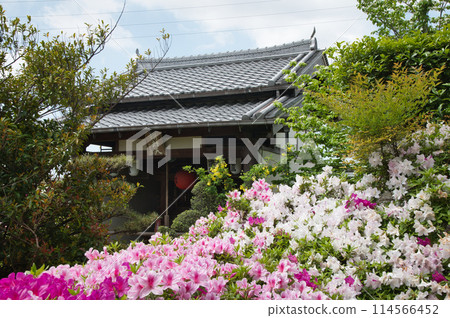 法雲寺（弁財天）[大阪府堺市三原區] 114566452