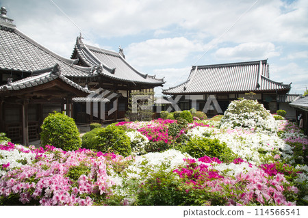 法雲寺（左起：羊仙殿、海山堂、北條）[大阪府堺市三原區] 114566541