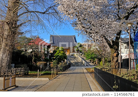東京都中野區東福寺 東京都中野區東福寺 114566761