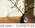 A lifestyle where you can enjoy small branches in a small vase 114567538