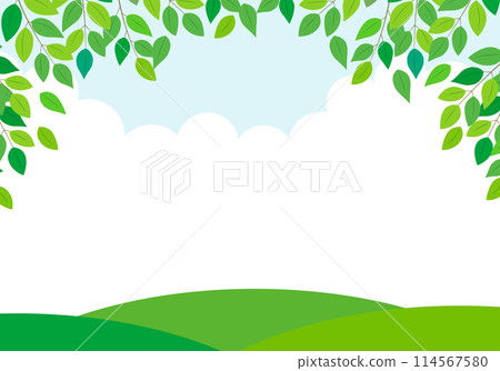Vector illustration landscape of fresh greenery and blue sky Vector illustration landscape of fresh greenery and blue sky 114567580