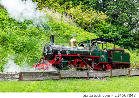 Steam locomotive running among fresh greenery, Romney Railway, Cambria 114567848