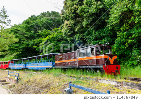 Romney Railroad John Southland II 114567849