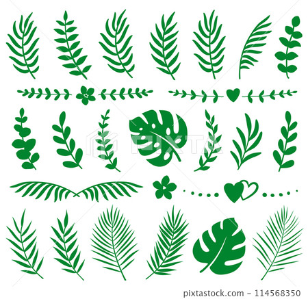 Tropical summer set palm eucalyptus leaves branches 114568350