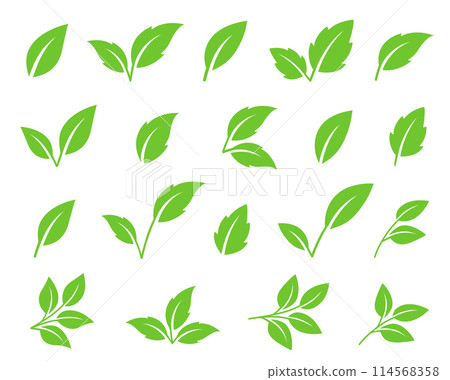 vector green leaves, letter v, tea branches set icon 114568358