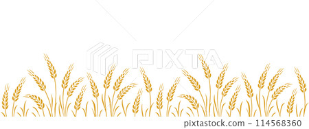 wheat, oat, rye seamless food stripe with stalks wheat, oat, rye seamless food stripe with stalks 114568360