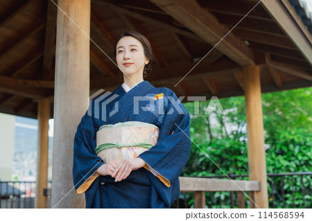 A woman wearing a formal kimono 114568594