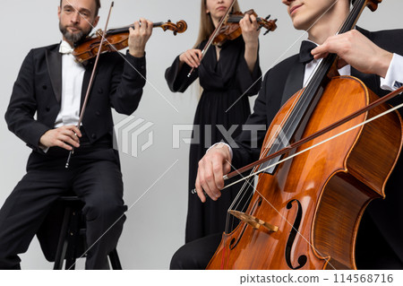 Professional violoncellist with cello and fiddlers with violins playing symphonic music Professional violoncellist with cello and fiddlers with violins playing symphonic music 114568716