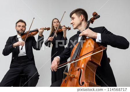 Musicians playing contrabass and violins 114568717