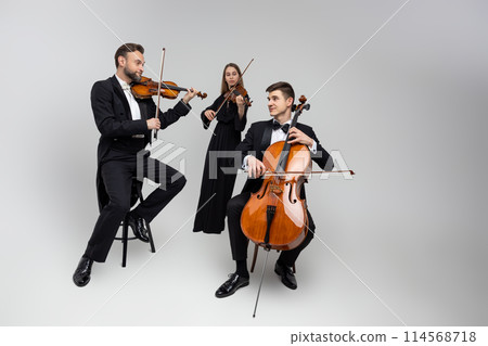 Full length of musicians playing cello and violins Full length of musicians playing cello and violins 114568718