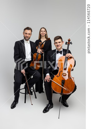 Elegant musicians with contrabass and violins Elegant musicians with contrabass and violins 114568720