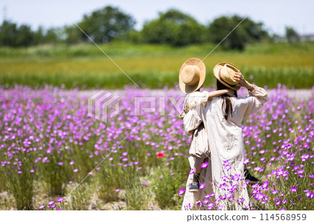 Poppy Happy Square, Konosu City, Saitama Prefecture, Wheat Nadeshiko Poppy Happy Square, Konosu City, Saitama Prefecture, Wheat Nadeshiko 114568959