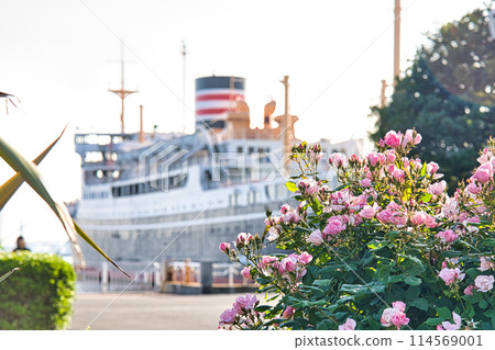 Rose和Hikawa Maru Rose和Hikawa Maru 114569001