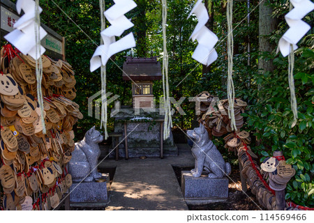 Shrine of dogs and cats 114569466