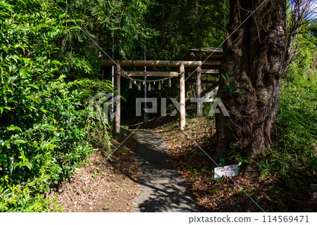 Torii gate of Isobe Katsusaka Ishidateo Shrine Torii gate of Isobe Katsusaka Ishidateo Shrine 114569471