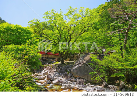 Yunoyama Onsen with fresh greenery and a mountain stream (Around Oishi Park) 114569618