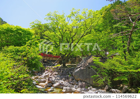 Yunoyama Onsen with fresh greenery and a mountain stream (Around Oishi Park) Yunoyama Onsen with fresh greenery and a mountain stream (Around Oishi Park) 114569622