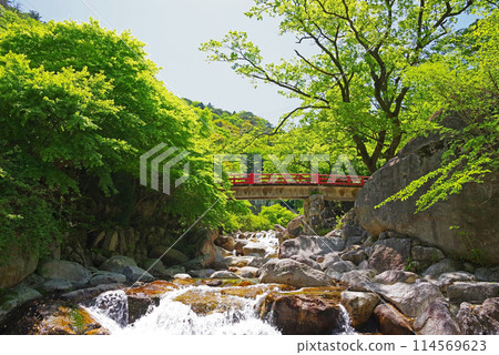 Yunoyama Onsen with fresh greenery and a mountain stream (Around Oishi Park) Yunoyama Onsen with fresh greenery and a mountain stream (Around Oishi Park) 114569623