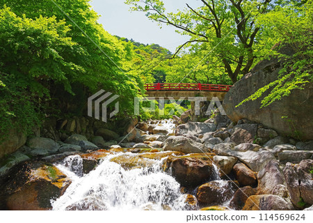 Yunoyama Onsen with fresh greenery and a mountain stream (Around Oishi Park) 114569624