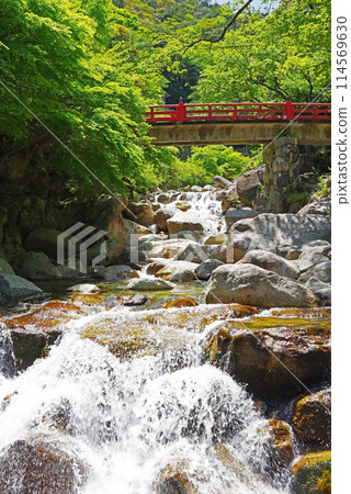 溪流中流淌著綠意盎然的湯之山溫泉(大石公園週邊) 溪流中流淌著綠意盎然的湯之山溫泉(大石公園週邊) 114569630