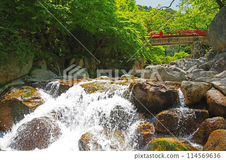 溪流中流淌著綠意盎然的湯之山溫泉（大石公園週邊） 114569636