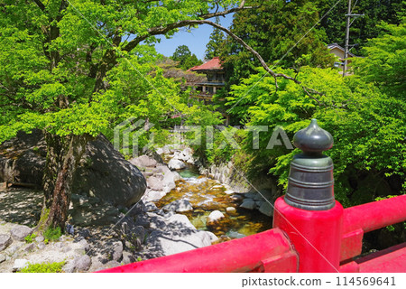 Yunoyama Onsen with fresh greenery and a mountain stream (Around Oishi Park) 114569641