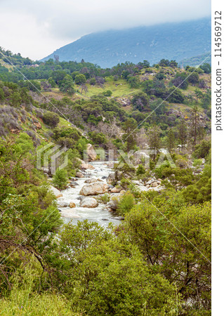 Mountain river in Yosemite Valley flows among Mountain river in Yosemite Valley flows among 114569712