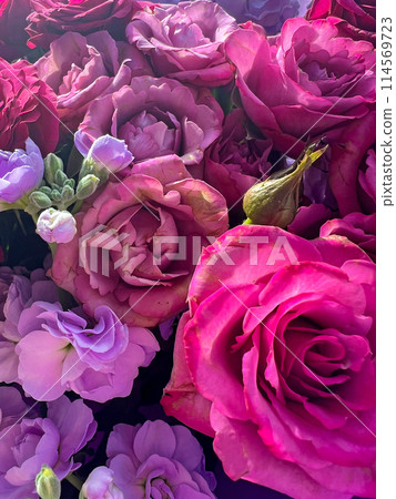 Background of colorful beautiful roses 114569723