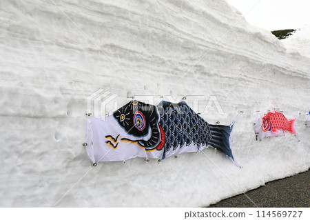 雪中大谷的鯉魚旗 雪中大谷的鯉魚旗 114569727