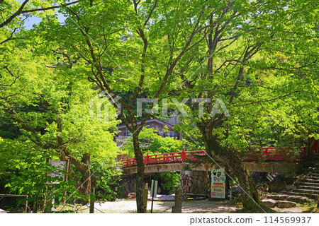 綠意盎然的湯之山溫泉【大石公園/大石橋】 綠意盎然的湯之山溫泉【大石公園/大石橋】 114569937