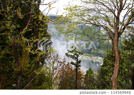 立山黑部阿爾卑斯山脈路線美女平 立山黑部阿爾卑斯山脈路線美女平 114569948
