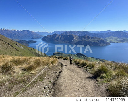 Roy's Peak Track, Wanaka, South Island, New Zealand Roy's Peak Track, Wanaka, South Island, New Zealand 114570069