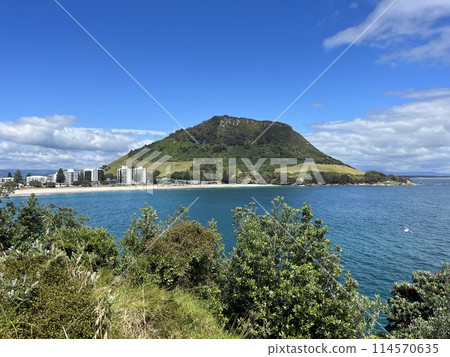 紐西蘭北島芒格努伊山 114570635