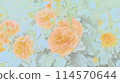 Gorgeous orange rose 114570644