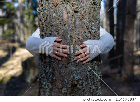 Beautiful female hands hug the trunk of a mighty tree in the forest. A woman protects the tree by carefully hugging it with her arms and clinging to it. Concept of hands hugging a tree. 114570934
