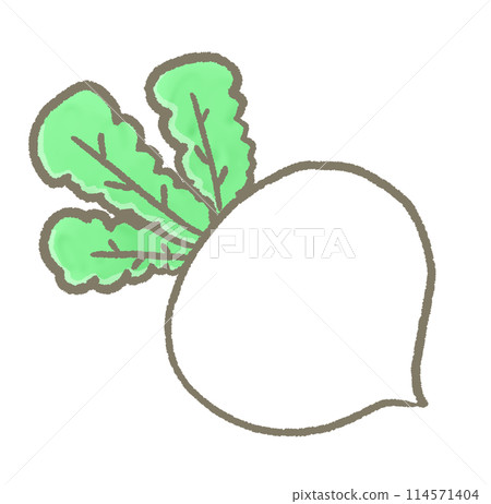 R: More fairy tale vegetables: White turnip ④ 114571404