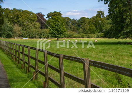 A view of the Cotswolds, a beautiful suburb of England A view of the Cotswolds, a beautiful suburb of England 114571599