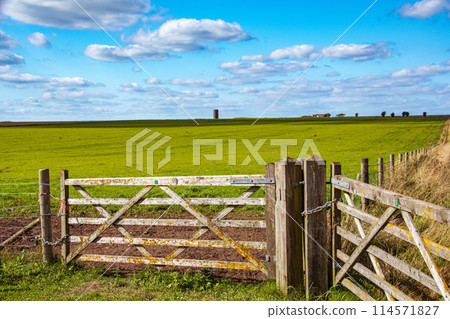 Stonehenge, a World Heritage Site on the outskirts of London 114571827