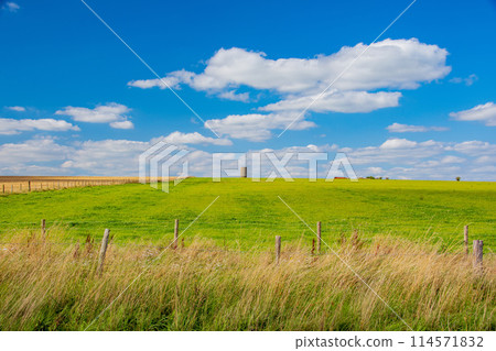Stonehenge, a World Heritage Site on the outskirts of London Stonehenge, a World Heritage Site on the outskirts of London 114571832